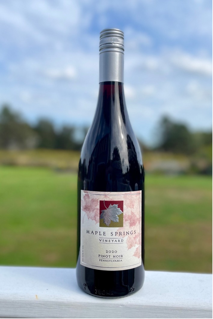 Product Image for 2020 Pinot Noir